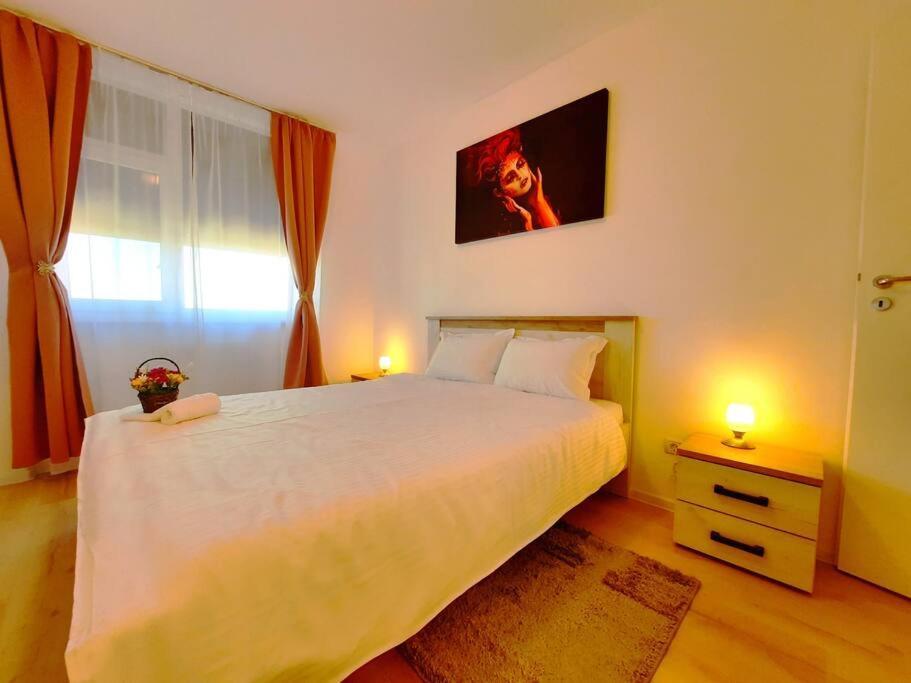 Beautiful Panoramic Central Apartment - City Of Mara Timişoara Exteriör bild