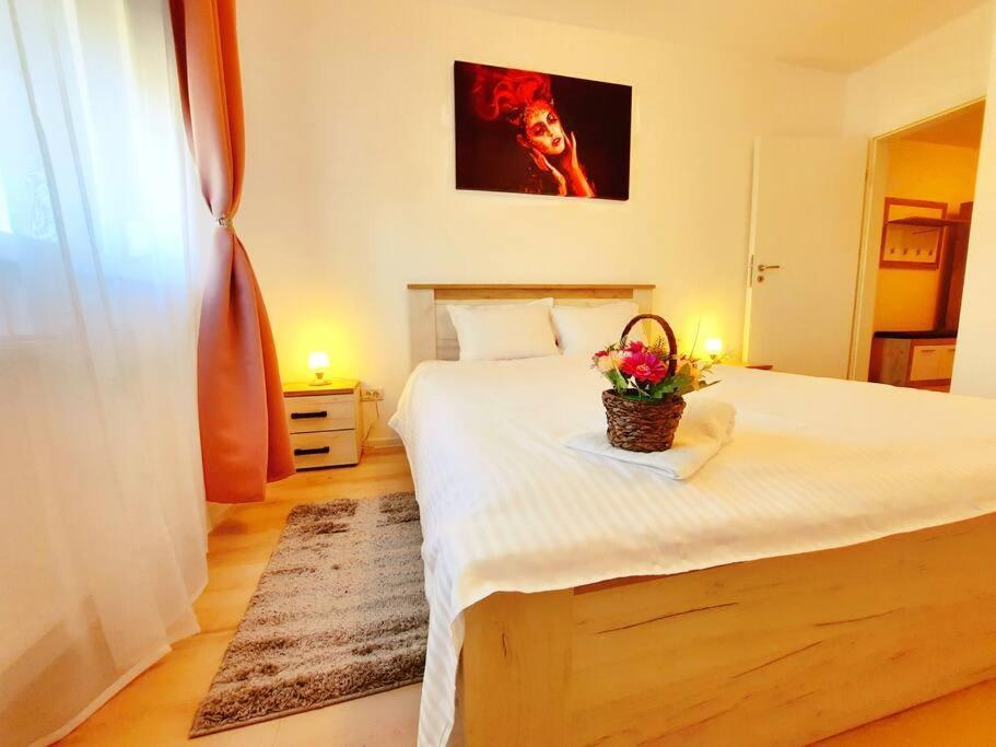 Beautiful Panoramic Central Apartment - City Of Mara Timişoara Exteriör bild